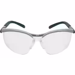 3M Schutzbrille BX Readers BXR02.0