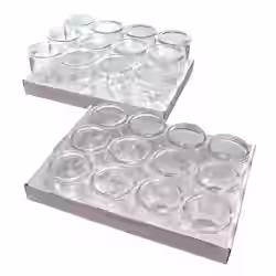 APS Gourmet-Gläser
