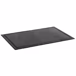 APS Naturschieferplatte 00979