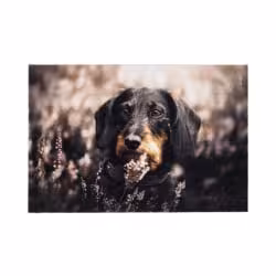 ASTRA Deco Print Motiv-Fußmatte