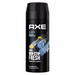 AXE Bodyspray T124915