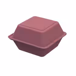 Burger Box ToGo