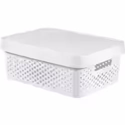 CURVER INFINITY Box mit Punktmuster