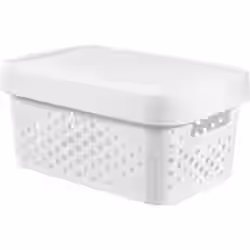 CURVER INFINITY Box mit Punktmuster