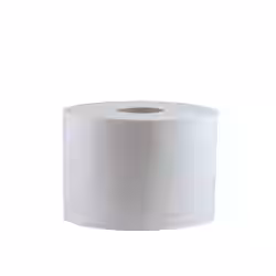 CWS Maxi 100 Toilettenpapier