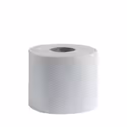 CWS Recycling Natur Toilettenpapier