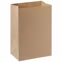 DUNI Take-Away Tasche ohne Henkel 194783