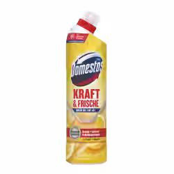Domestos WC-Reiniger Kraft & Frische Gel 8720182284693