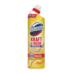 Domestos WC-Reiniger Kraft & Frische Gel 8720182284693