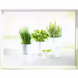EMSA Classic Tablett "Herbs" 504859