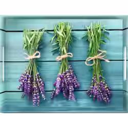 EMSA Classic Tablett "Lavender" 513713