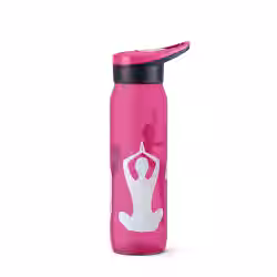 EMSA DRINK2Go PP Trinkflasche N3040100