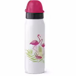 EMSA Iso2Go Trinkflasche