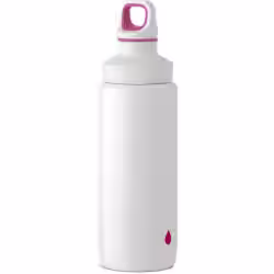 EMSA Light Steel Isolierflasche