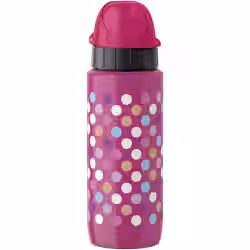 EMSA Light Steel Trinkflasche