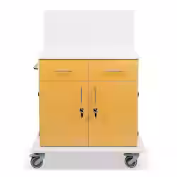ETERNASOLID MULTICART Multifunktionswagen T21 mit Rückwand 92635-GE