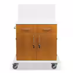 ETERNASOLID MULTICART Multifunktionswagen T21 mit Rückwand 92635-KI