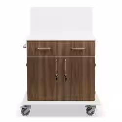 ETERNASOLID MULTICART Multifunktionswagen T21 mit Rückwand 92635-WA