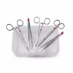 Fuhrmann Basis-Set fein