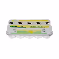 Funny 10er Eierverpackung Motiv "10 frische Eier" AG-427