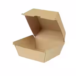 Greenbox Burger Box