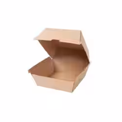 Greenbox Burger Box