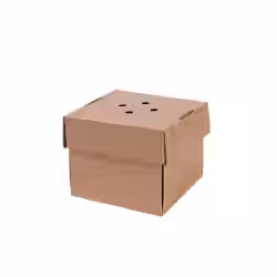Greenbox Burger Box