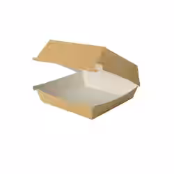 Greenbox Burger Box