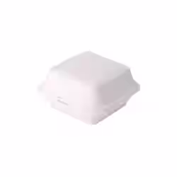 Greenbox Burger Box