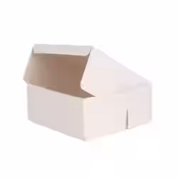 Greenbox Kuchenbox