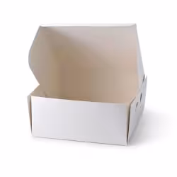 Greenbox Kuchenbox