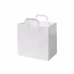 Greenbox Papiertüte mit Henkel L
