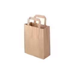 Greenbox Papiertüte mit Henkel S