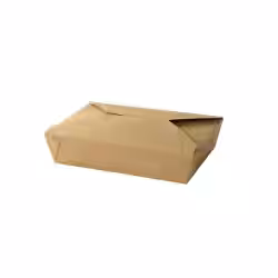 Greenbox Take away Kartonbox