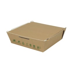 Greenbox Take away Kartonbox