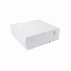 Greenbox Torten-Kartons L