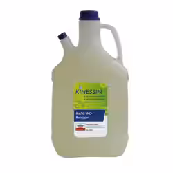 KINESSIN Badreiniger / WC 615376