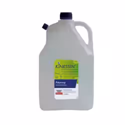 KINESSIN Putzessig doppelt-konzentriert 615369