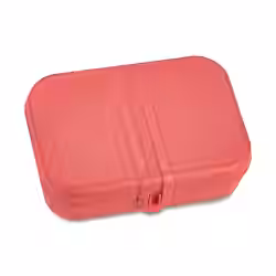 Koziol Lunchbox PASCAL L mit Trennsteg