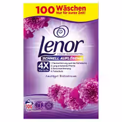 Lenor Colorwaschmittel Pulver Amethyst Blütentraum 8700216093637