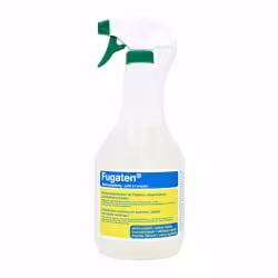 Lysoform Fugaten Flächendesinfektion