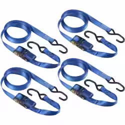 Master Eco Zurrgurt mit Druckratsche und S-Haken 4367EURDAT 4367EURDAT