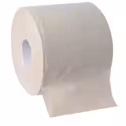 NATURESTAR Toilettenpapier Bio