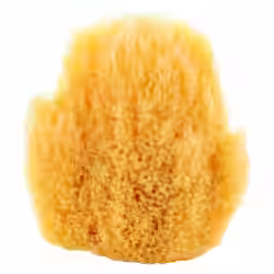 Naturschwamm 1 Stück