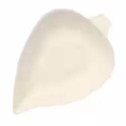 Papstar Pure Servierteller Leaf