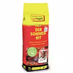 ProFagus Sommerhit Holzkohle Buchenholz