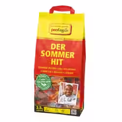 ProFagus Sommerhit Holzkohle Buchenholz