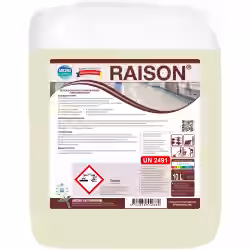 RAISON hochwirksamer Grundreiniger 01036