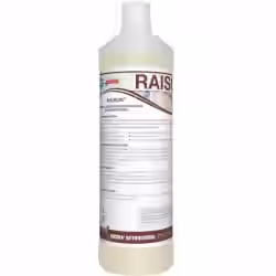 RAISON hochwirksamer Grundreiniger 01199