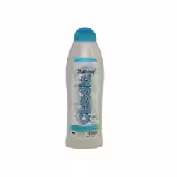 REGINA Shampoo 26